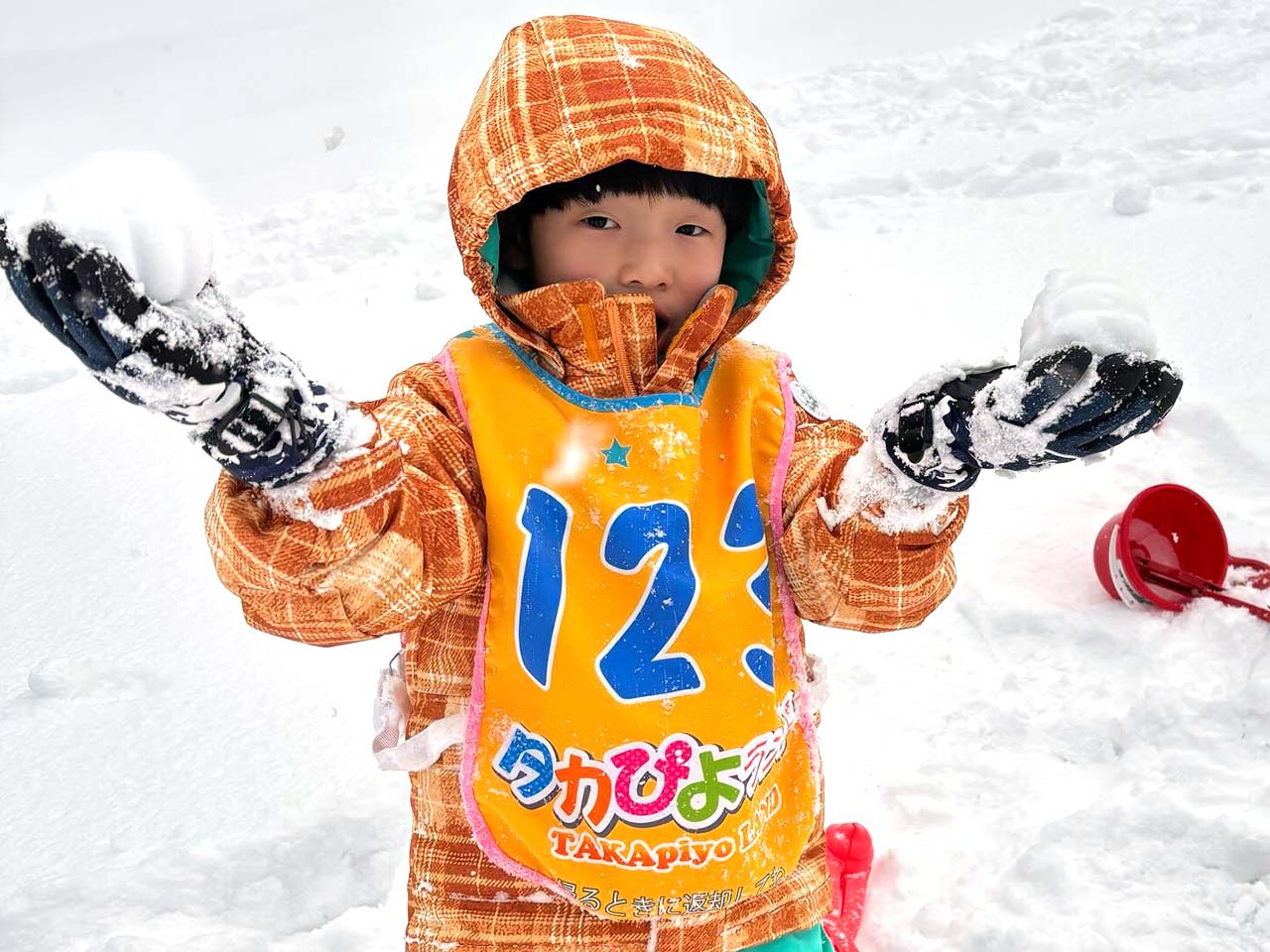 タカぴよランドスナップショット