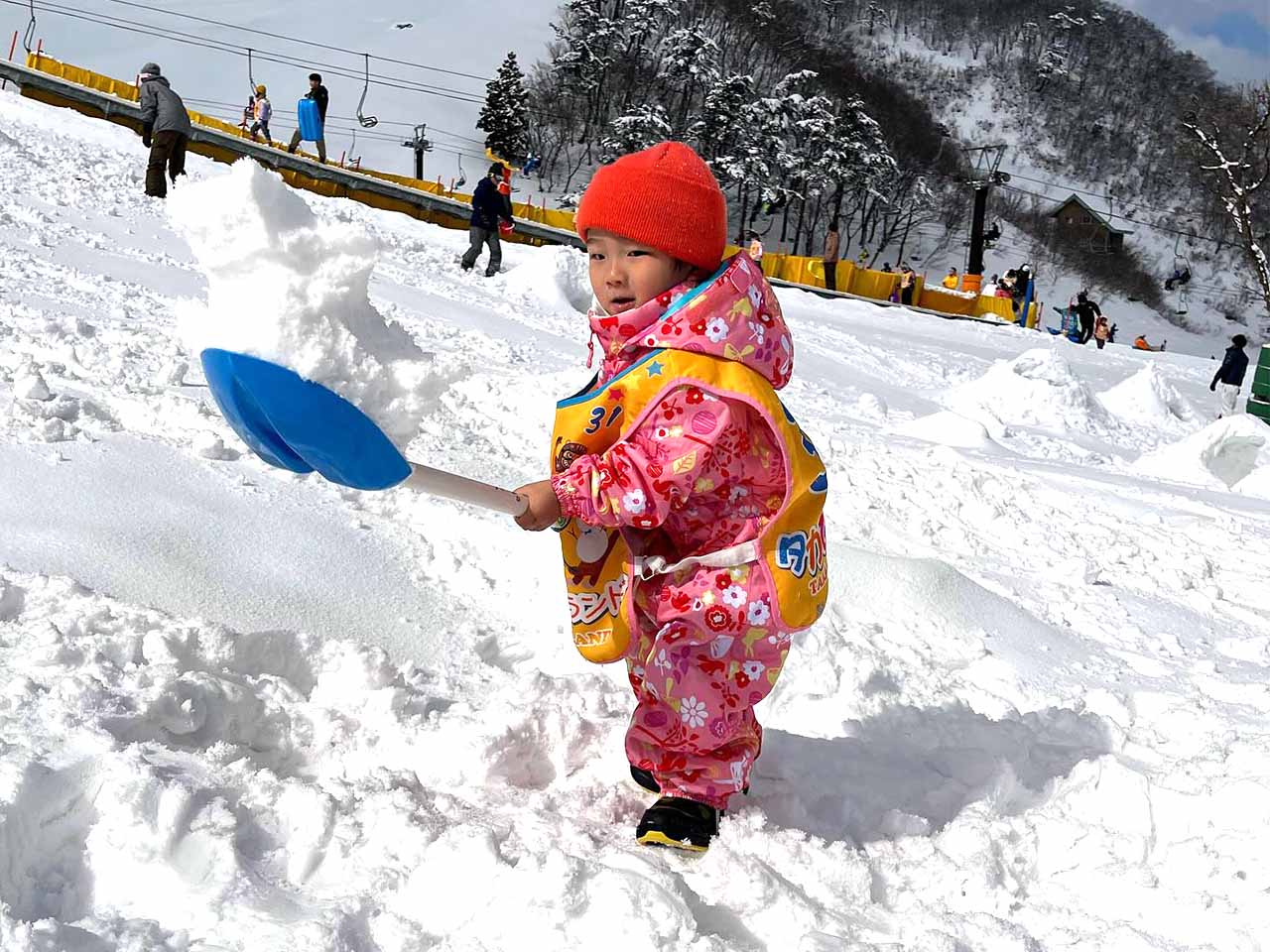 タカぴよランドスナップショット