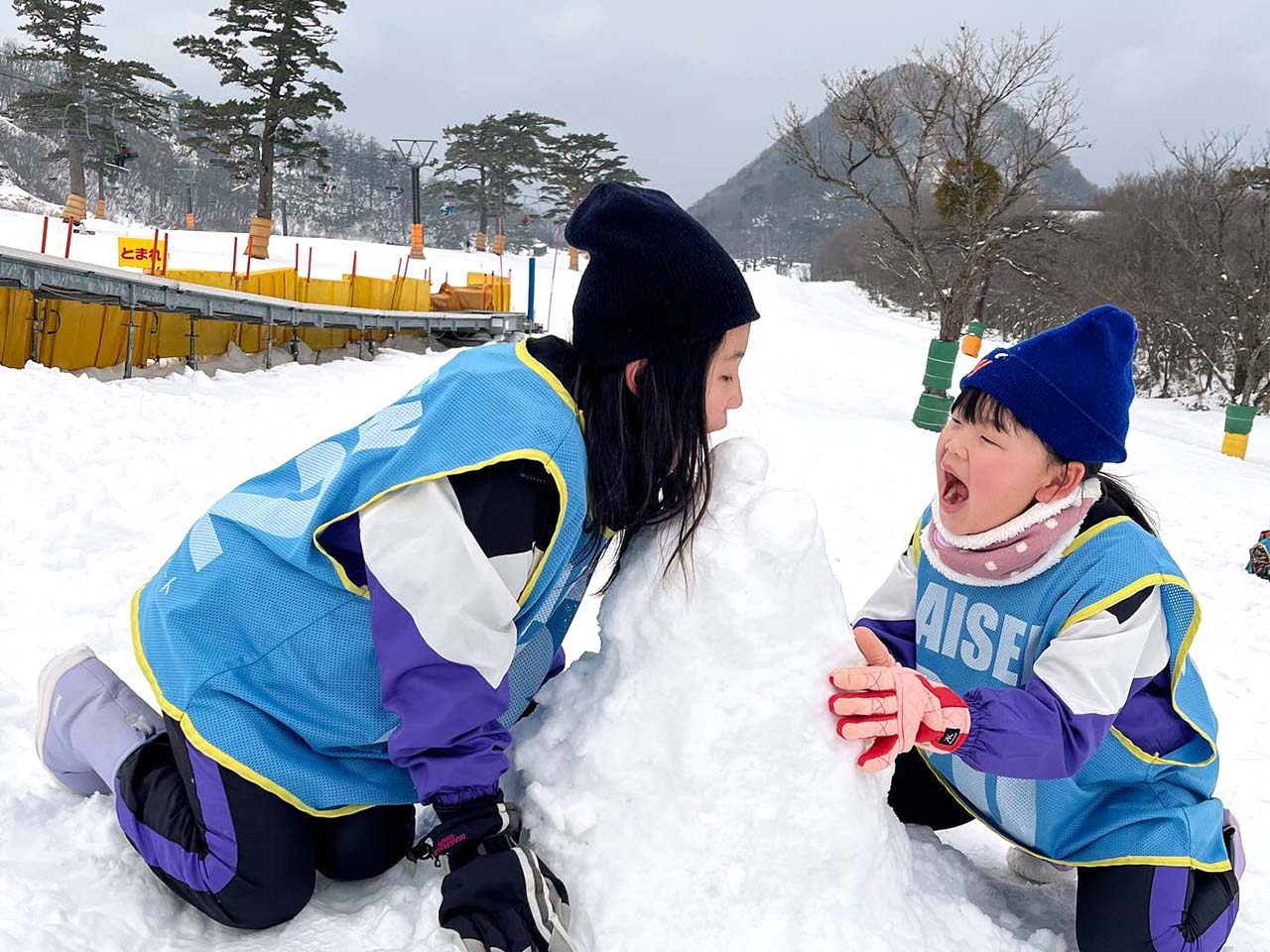 タカぴよランドスナップショット