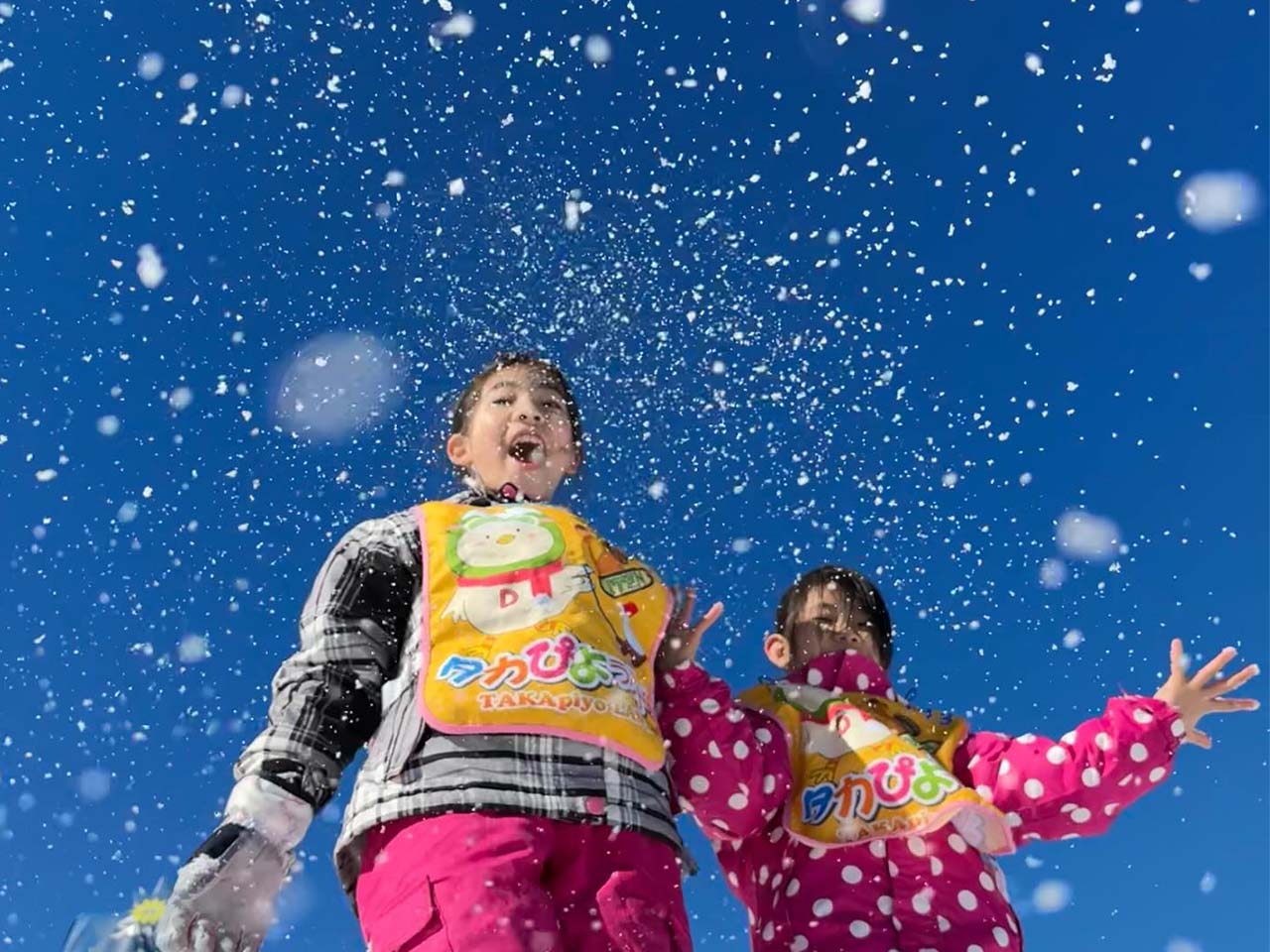 タカぴよランドスナップショット